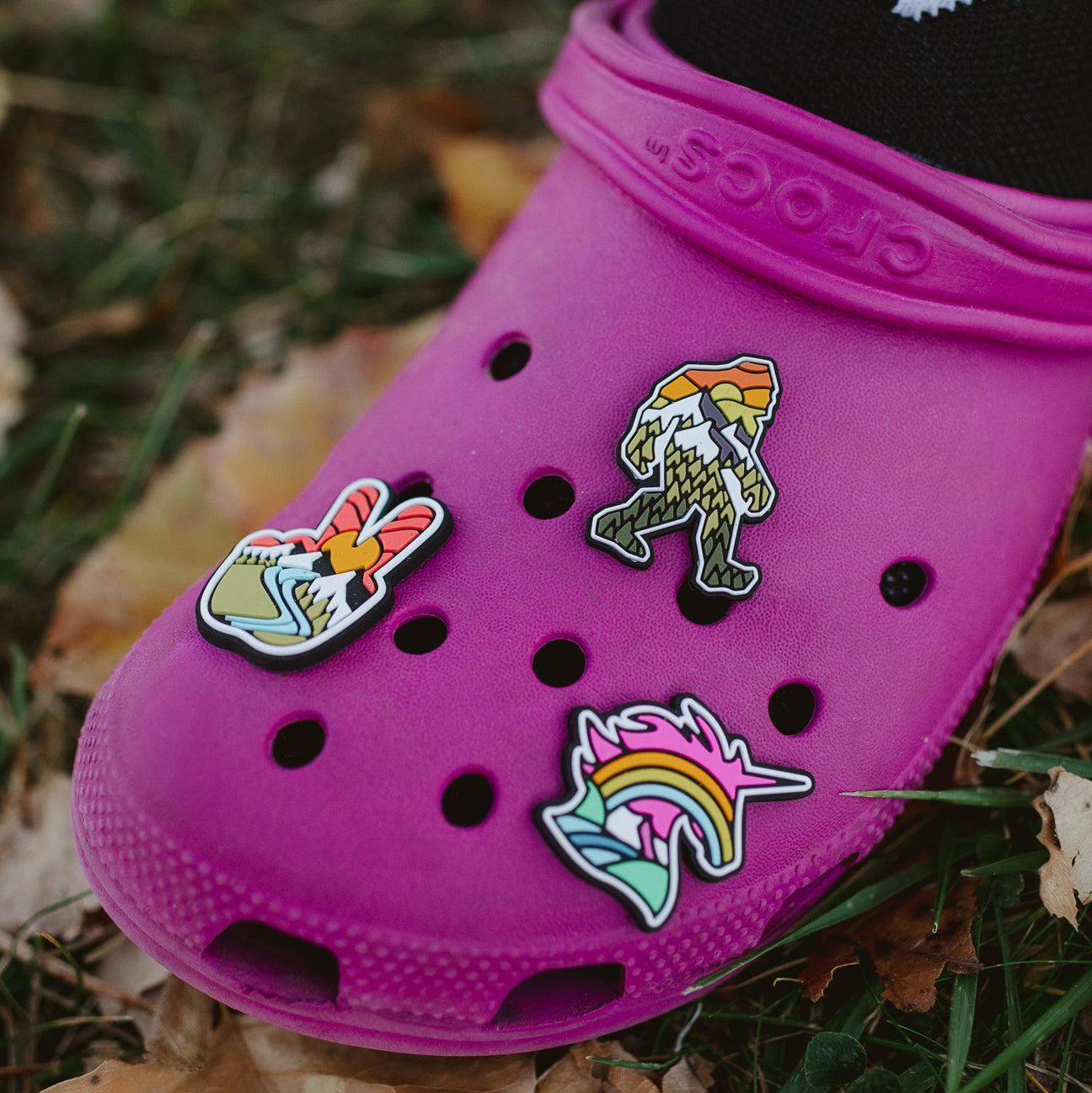 Shoe Charms