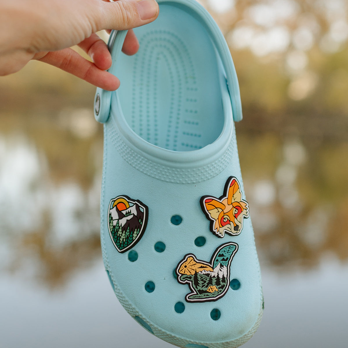 Atomic Forest Shoe Charm Pack — Atomicchild